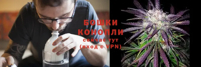 kraken вход  Ельня  Каннабис OG Kush  цена  